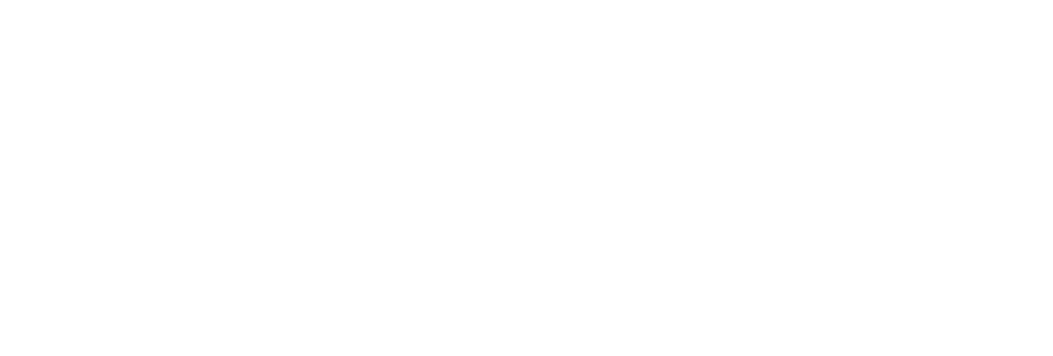 Sanvy
